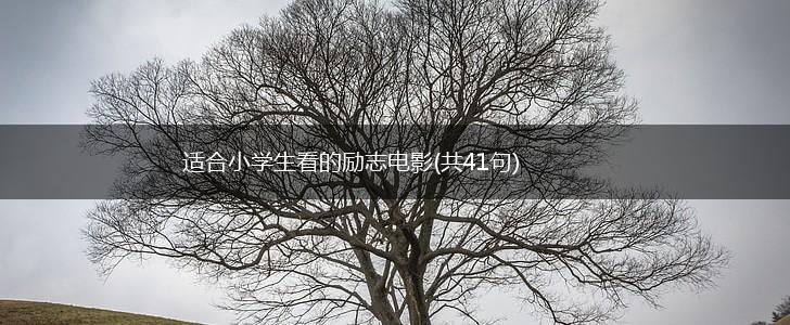 适合小学生看的励志电影(共41句),第1张