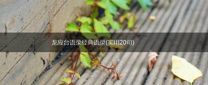 龙应台语录经典语录(实用20句),第1张