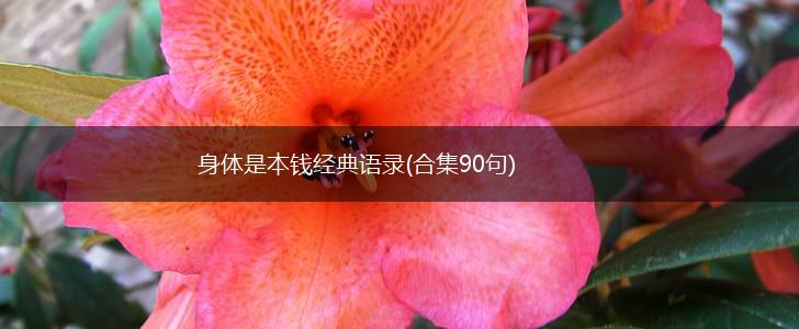 身体是本钱经典语录(合集90句),第1张 身体是本钱经典语录(合集90句),第1张