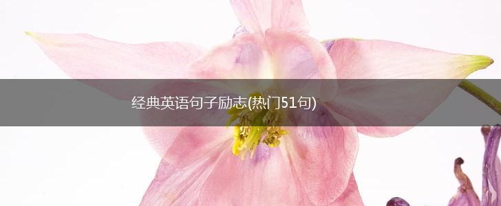 经典英语句子励志(热门51句),第1张 经典英语句子励志(热门51句),第1张