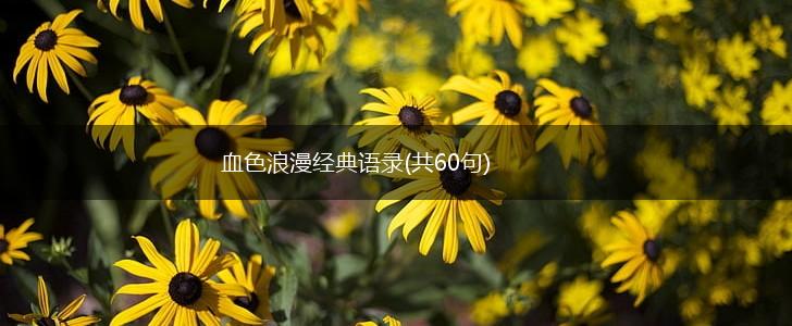 血色浪漫经典语录(共60句),第1张