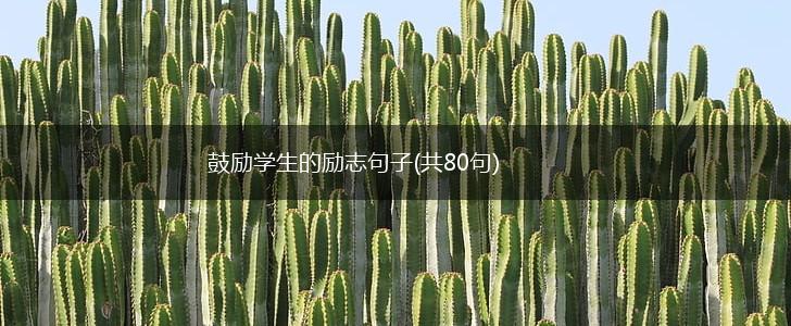 鼓励学生的励志句子(共80句),第1张