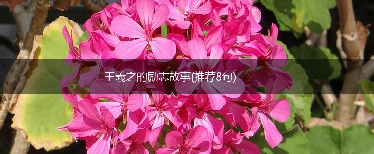 王羲之的励志故事(推荐8句),第1张 王羲之的励志故事(推荐8句),第1张