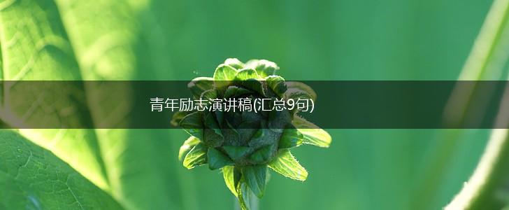 青年励志演讲稿(汇总9句),第1张