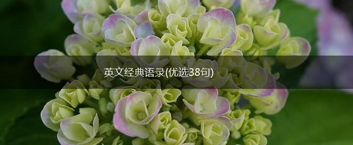 英文经典语录(优选38句),第1张