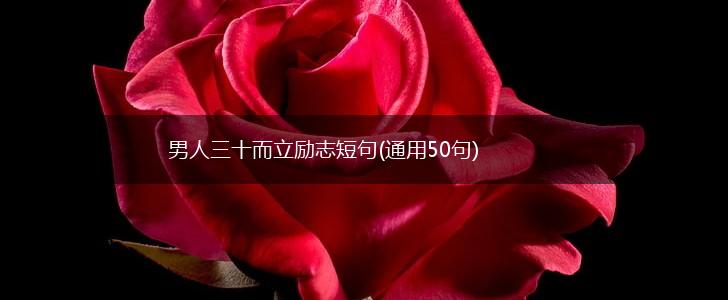 男人三十而立励志短句(通用50句),第1张
