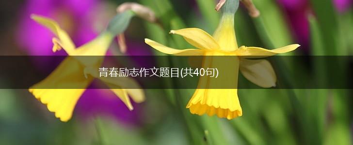 青春励志作文题目(共40句),第1张