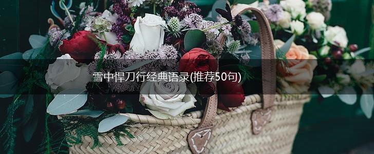 雪中悍刀行经典语录(推荐50句),第1张 雪中悍刀行经典语录(推荐50句),第1张