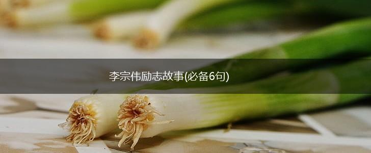 李宗伟励志故事(必备6句),第1张