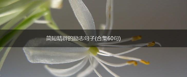 简短精辟的励志句子(合集60句),第1张 简短精辟的励志句子(合集60句),第1张