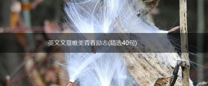 英文文章唯美青春励志(精选40句),第1张