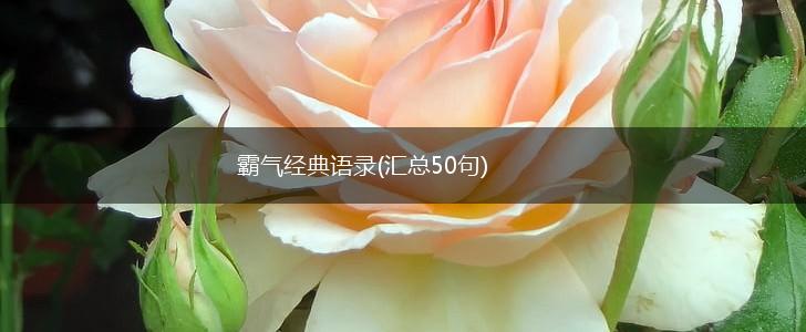 霸气经典语录(汇总50句),第1张