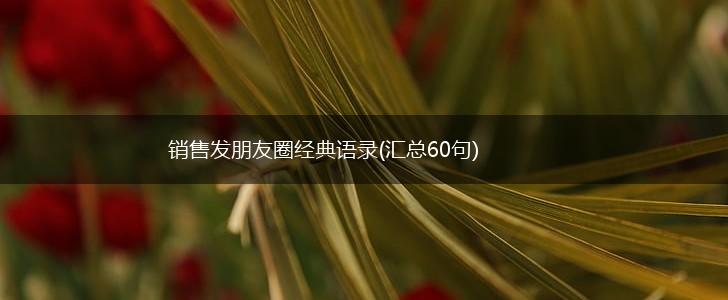 销售发朋友圈经典语录(汇总60句),第1张