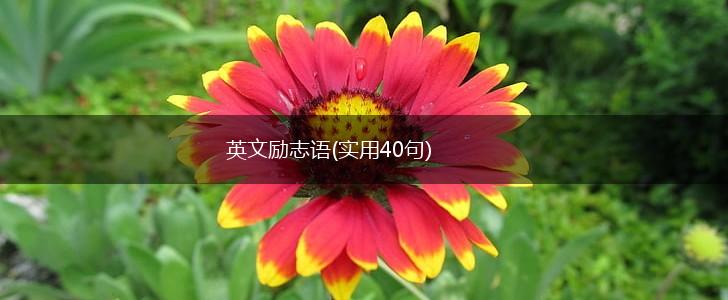 英文励志语(实用40句),第1张