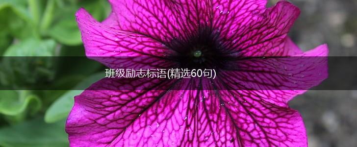 班级励志标语(精选60句),第1张