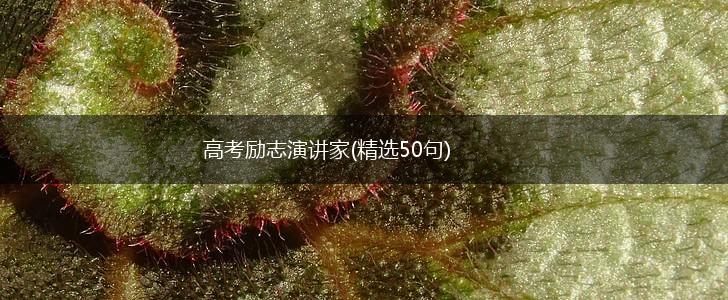 高考励志演讲家(精选50句),第1张