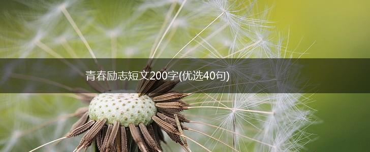 青春励志短文200字(优选40句),第1张