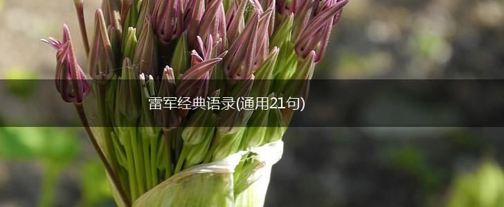 雷军经典语录(通用21句),第1张