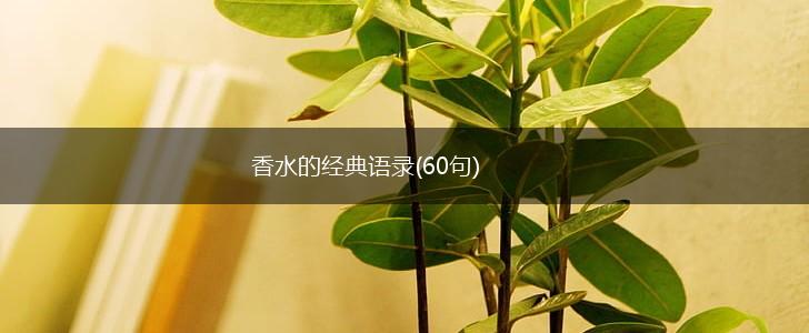香水的经典语录(60句),第1张