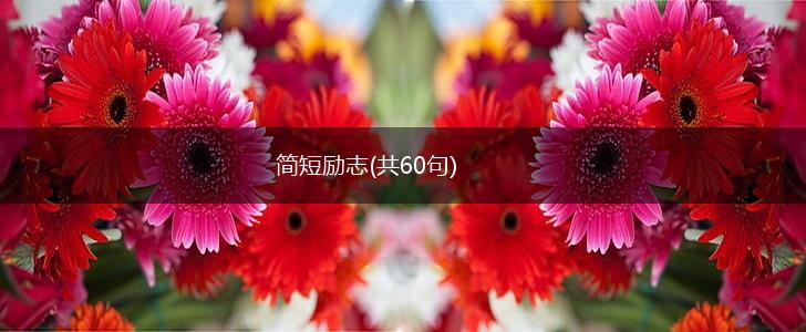 简短励志(共60句),第1张 简短励志(共60句),第1张