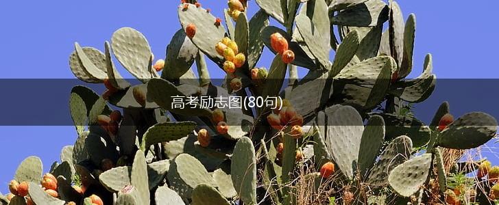 高考励志图(80句),第1张