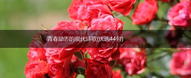 青春励志的现代诗歌(优选44句),第1张