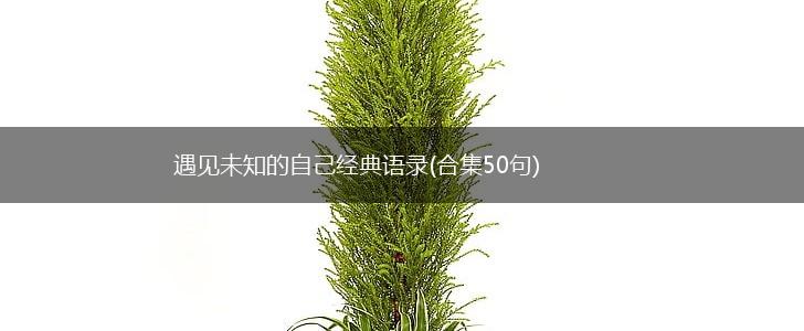 遇见未知的自己经典语录(合集50句),第1张