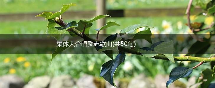 集体大合唱励志歌曲(共50句),第1张