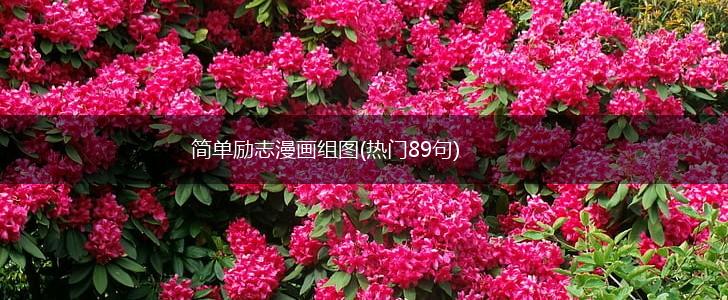 简单励志漫画组图(热门89句),第1张 简单励志漫画组图(热门89句),第1张
