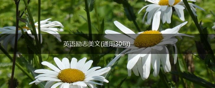 英语励志美文(通用30句),第1张