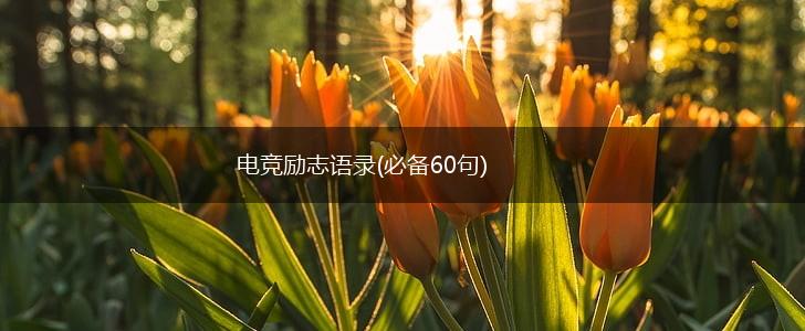 电竞励志语录(必备60句),第1张