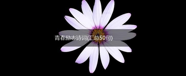 青春励志诗词(汇总50句),第1张