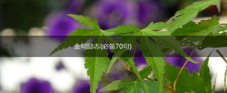 金句励志(必备70句),第1张