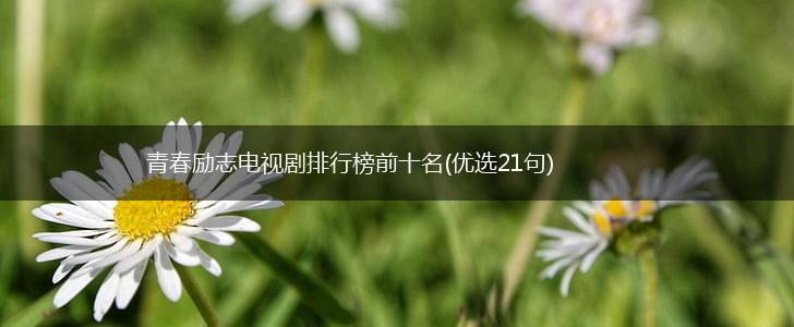青春励志电视剧排行榜前十名(优选21句),第1张