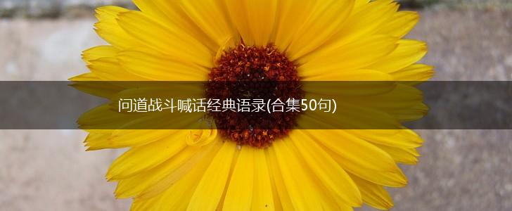 问道战斗喊话经典语录(合集50句),第1张 问道战斗喊话经典语录(合集50句),第1张