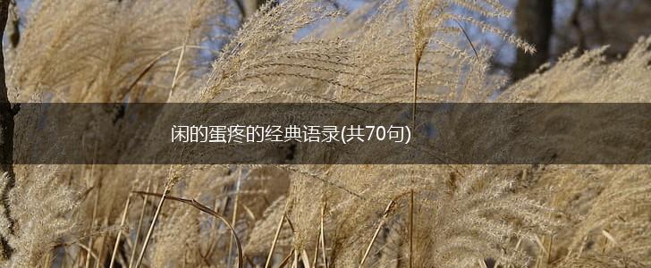 闲的蛋疼的经典语录(共70句),第1张