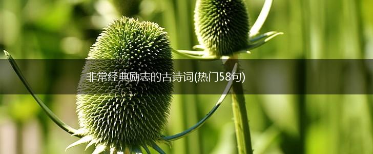 非常经典励志的古诗词(热门58句),第1张