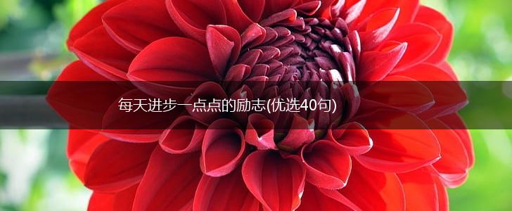 每天进步一点点的励志(优选40句),第1张