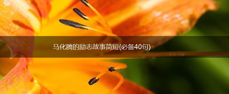 马化腾的励志故事简短(必备40句),第1张