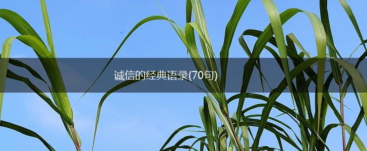 诚信的经典语录(70句),第1张