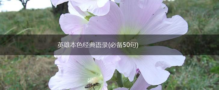 英雄本色经典语录(必备50句),第1张