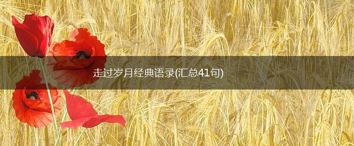 走过岁月经典语录(汇总41句),第1张