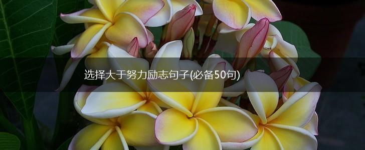 选择大于努力励志句子(必备50句),第1张