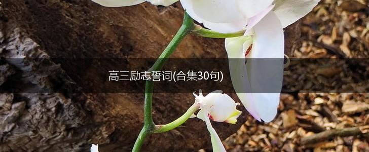 高三励志誓词(合集30句),第1张