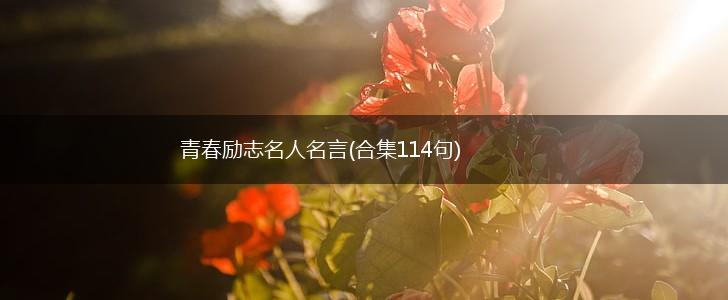 青春励志名人名言(合集114句),第1张