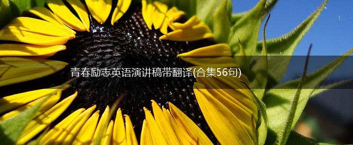 青春励志英语演讲稿带翻译(合集56句),第1张