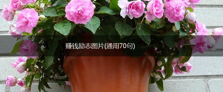 赚钱励志图片(通用70句),第1张
