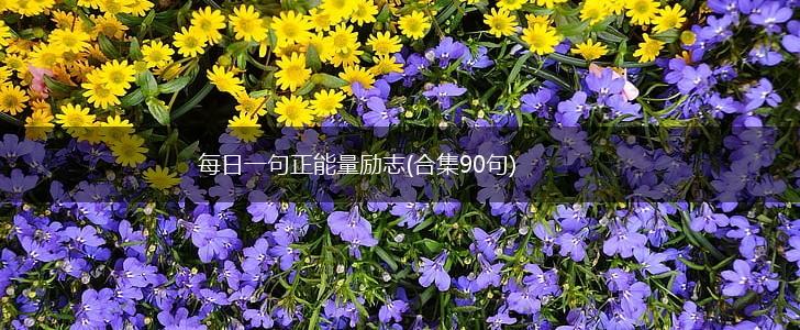 每日一句正能量励志(合集90句),第1张