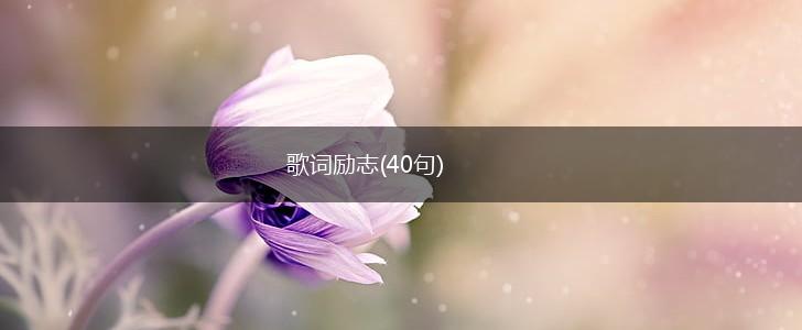 歌词励志(40句),第1张 歌词励志(40句),第1张