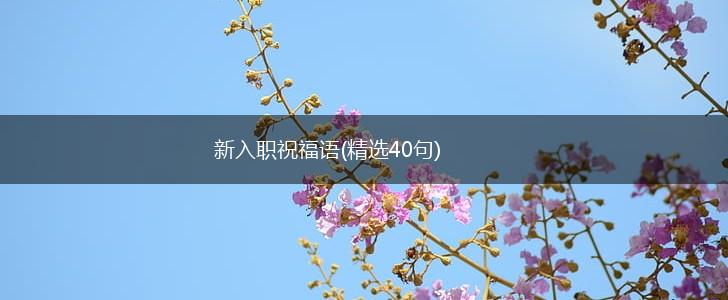 新入职祝福语(精选40句),第1张
